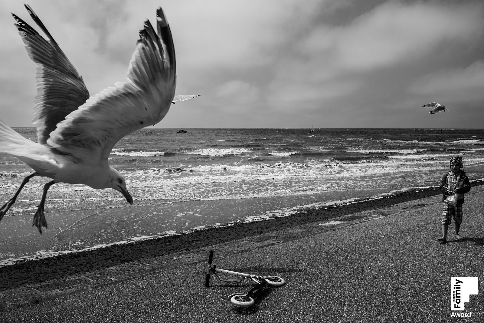 Eine Möwe und ein Junge an der Nordseeküste